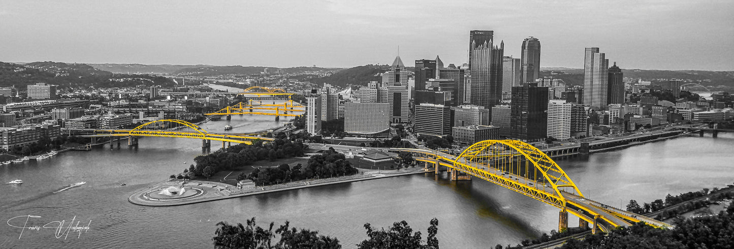 Pittsburgh Panoramic Summer Blue Black / White