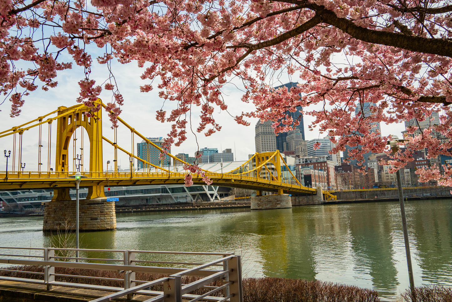 Pittsburgh Cherry Blossom Bridge 02