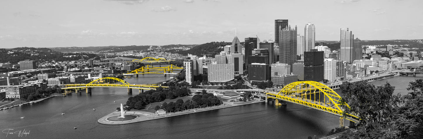 Pittsburgh Panoramic Summer 2024 01 Black / White