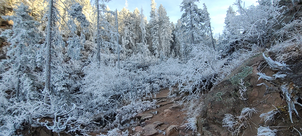Where Ice Meets Light – Snowy Colorado Majesty