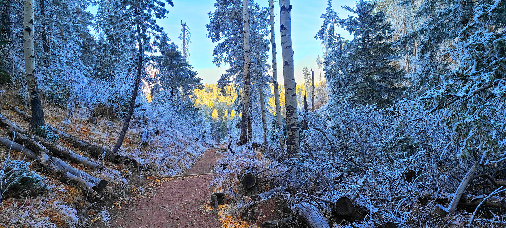 Silent Peaks – Colorado’s Winter Glory
