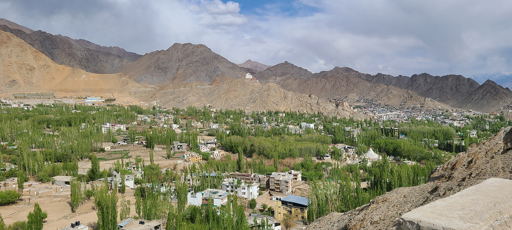 Between the Pines- Ladakh
