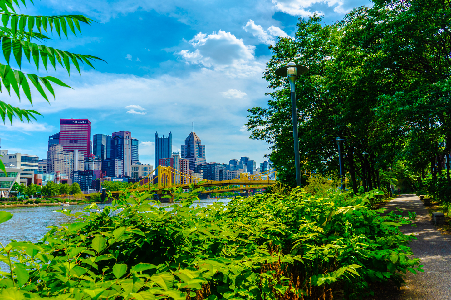 Summer Horizons — Pittsburgh’s Bridge from Afar