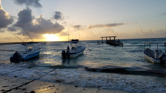 Playa De Carmen Beach Sunrise