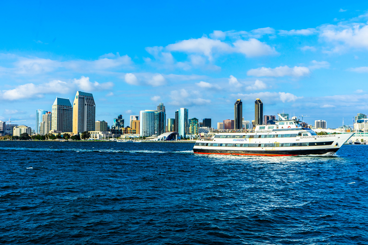 Cruise Ship in Motion – California River View