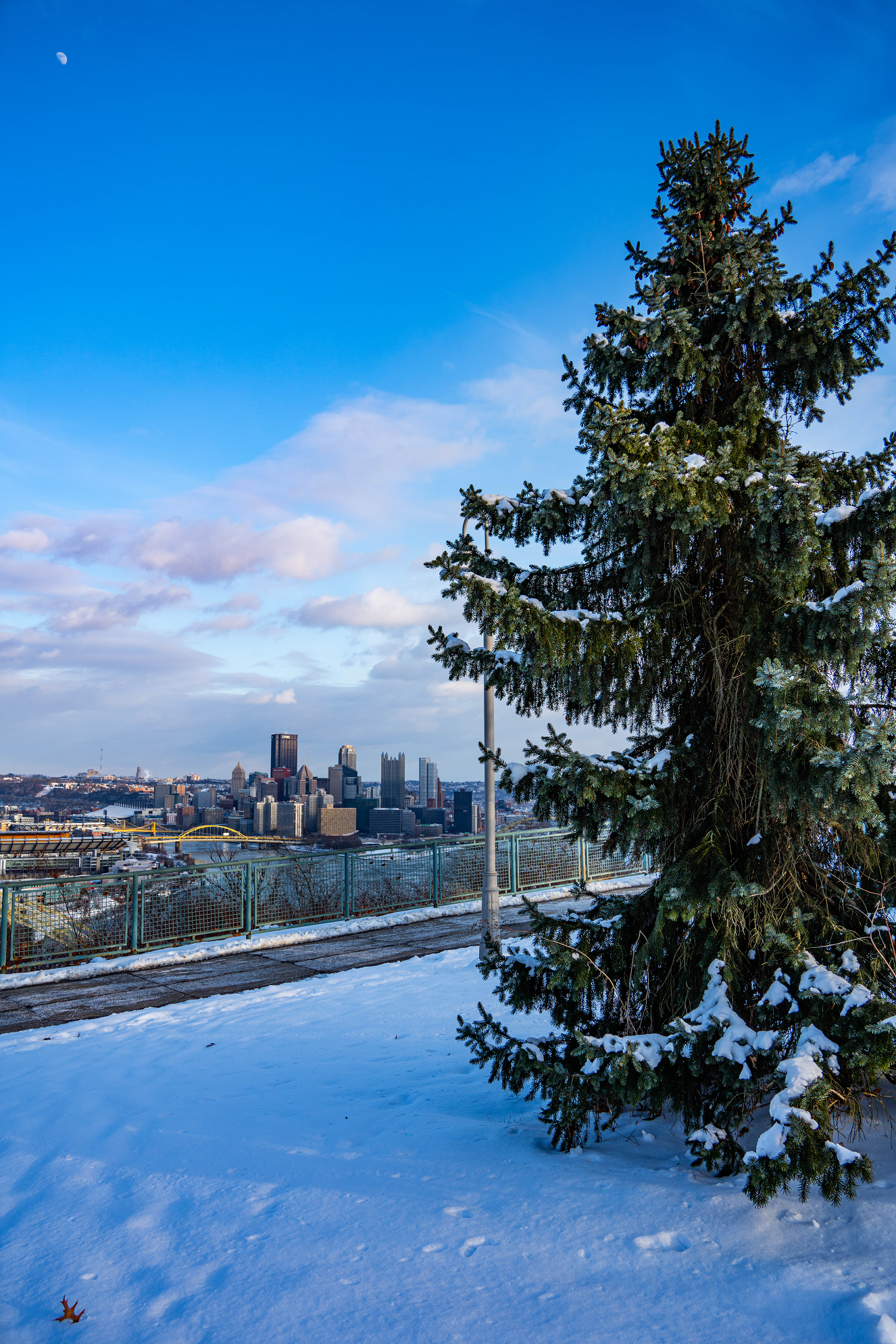 Pittsburgh Winter Westland Overlook Park