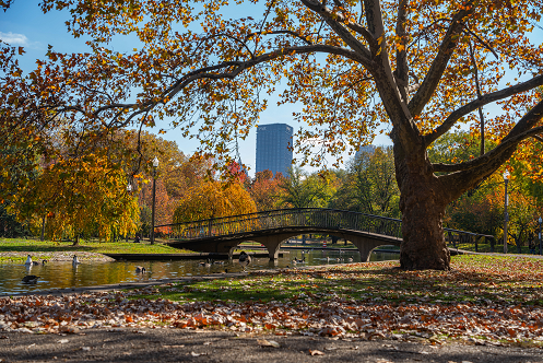 Pittsburgh Fall 2024 06