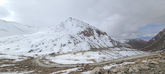 Snow Veil- Ladakh