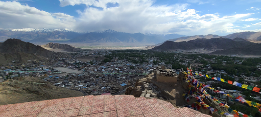 Valleys and Dreams- Ladakh